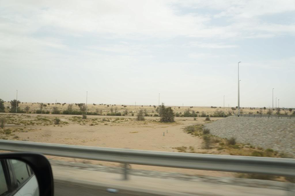 DSC02661_zpsfd42eef0.jpg