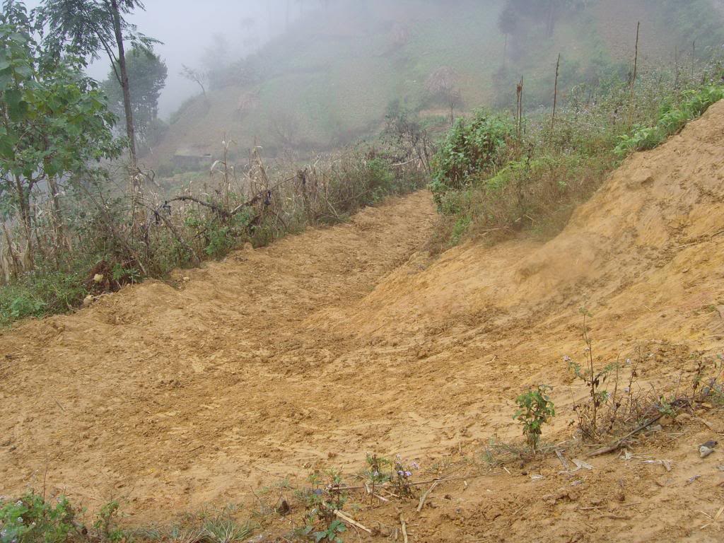 SNV30321.jpg