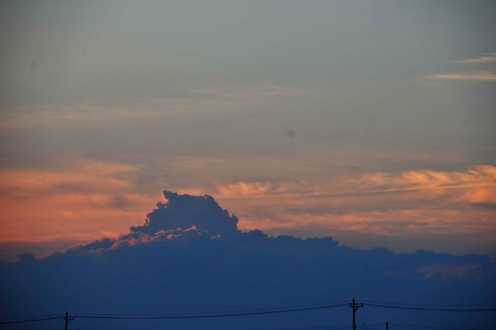 DSC_3031_zps4670d8ee.jpg