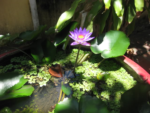 DNt809052.jpg