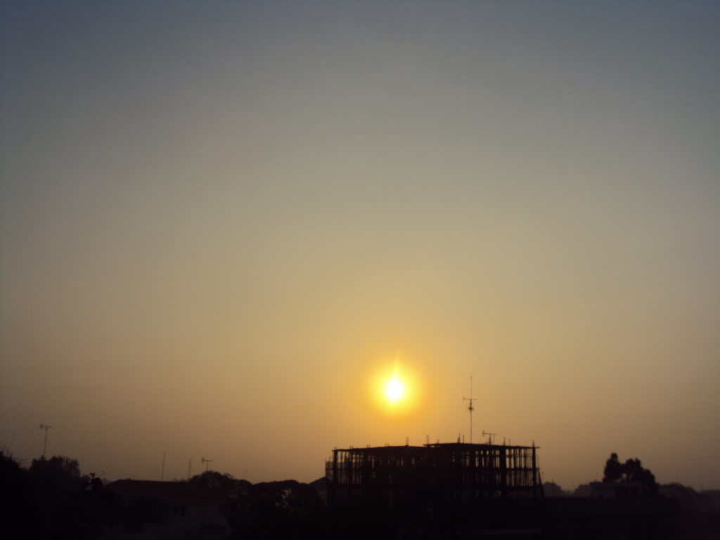 DSC05624.jpg
