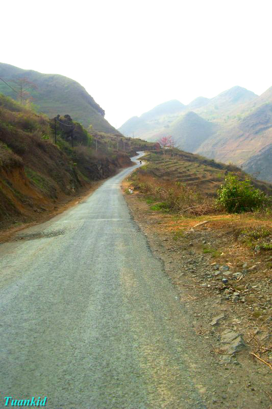 SDC16190.jpg