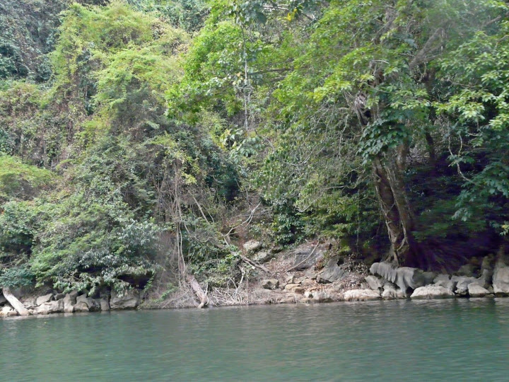 P1050542.JPG