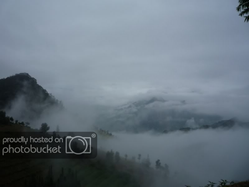 P1020540800x600.jpg