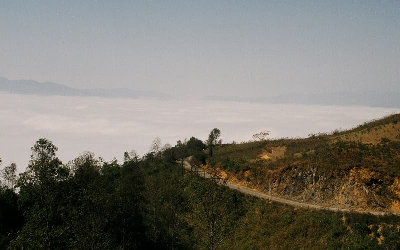 c20035.jpg