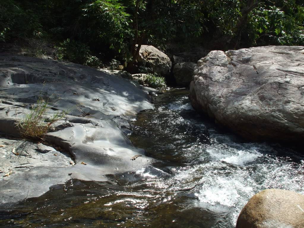 DSCF42541.jpg