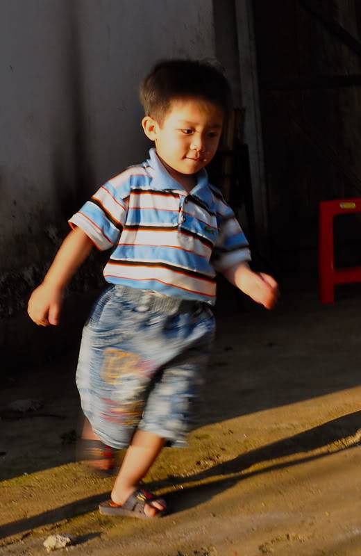 113.jpg