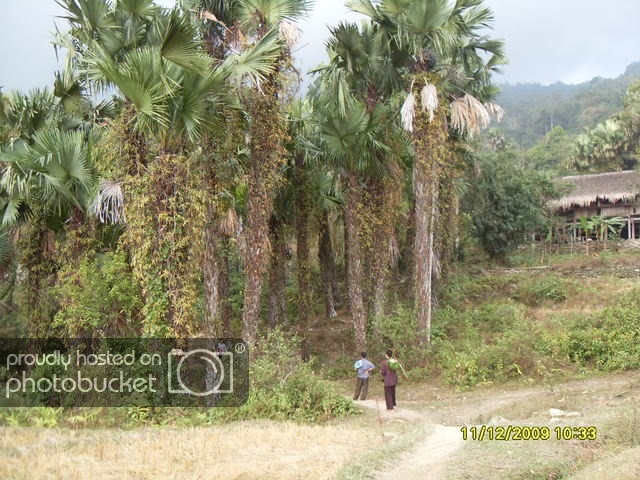 SDC12042.jpg