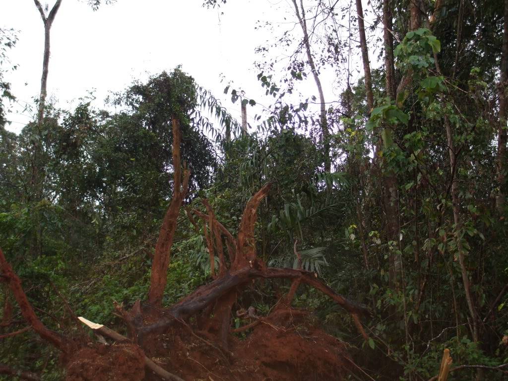 DSCF3058.jpg