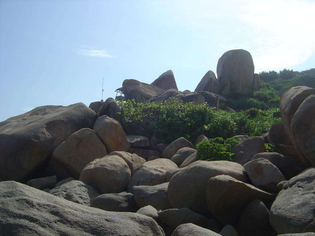 DSC00044.jpg