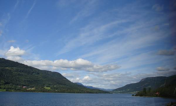 DSC09879.jpg