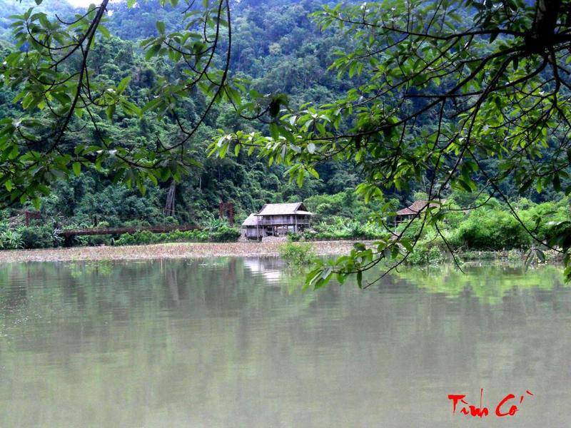 DSCN64411.jpg