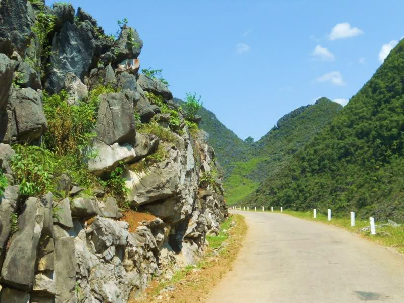 DSCN3963.jpg