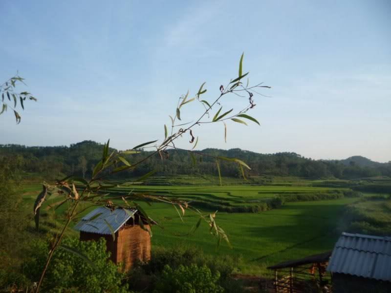 P1020102800x600.jpg