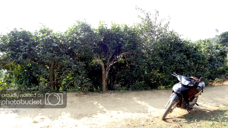DSC09391_zpsbc737221.jpg