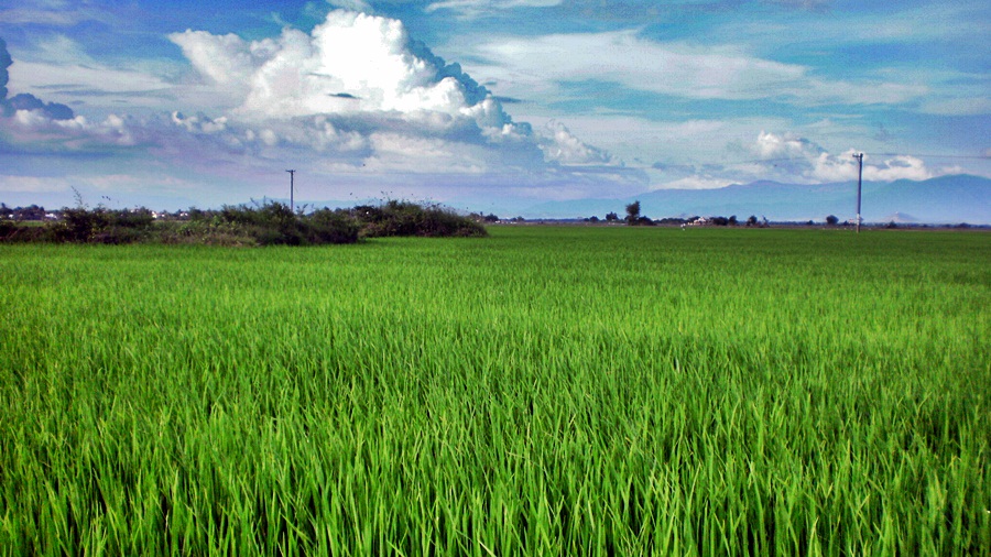 84_zpsd888a000.jpg