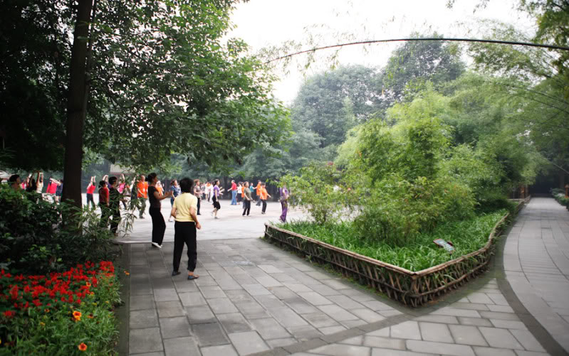 _MG_3094.jpg