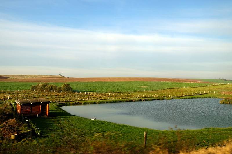 DSC_6357_7777.jpg