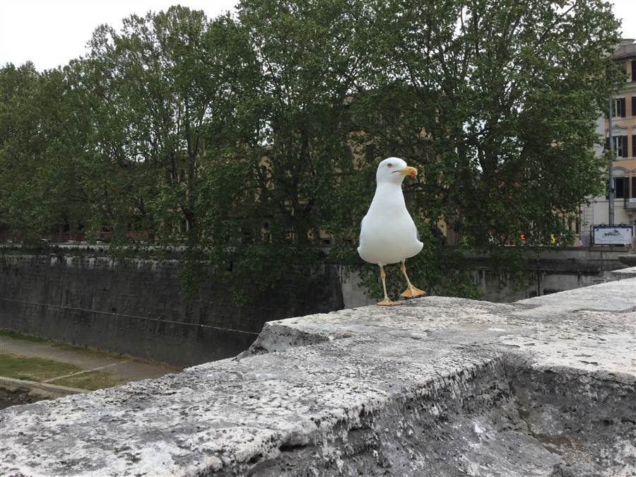 resized_IMG_0963_zps1wle3e8c.jpg
