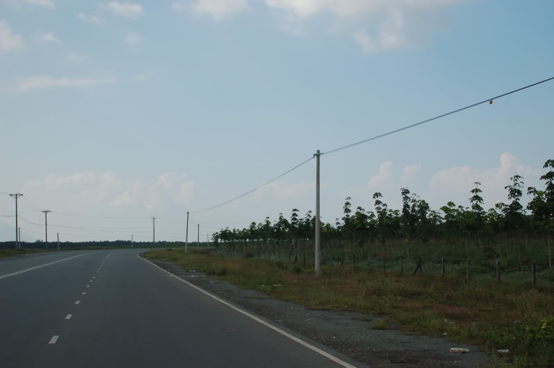 DSC_0395.jpg
