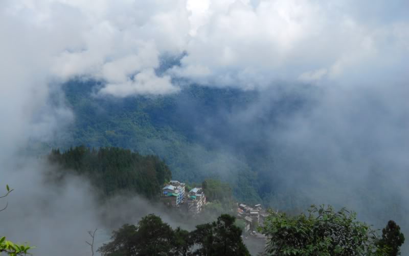 DSCN0348.jpg