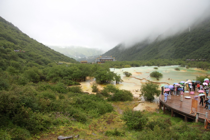 IMG_9515.jpg