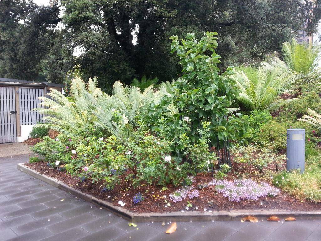 20131111_125825.jpg