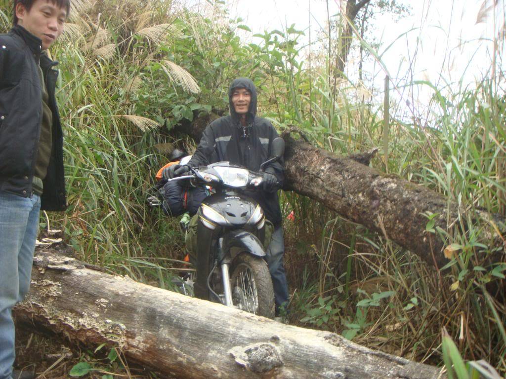 DSC06005.jpg