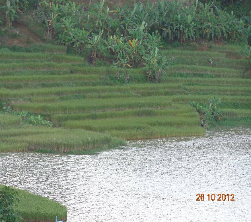 DSC00683R.jpg