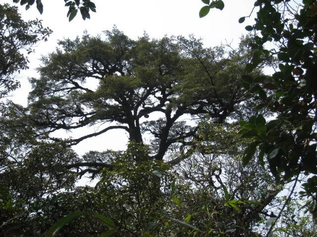 IMG_1460.jpg