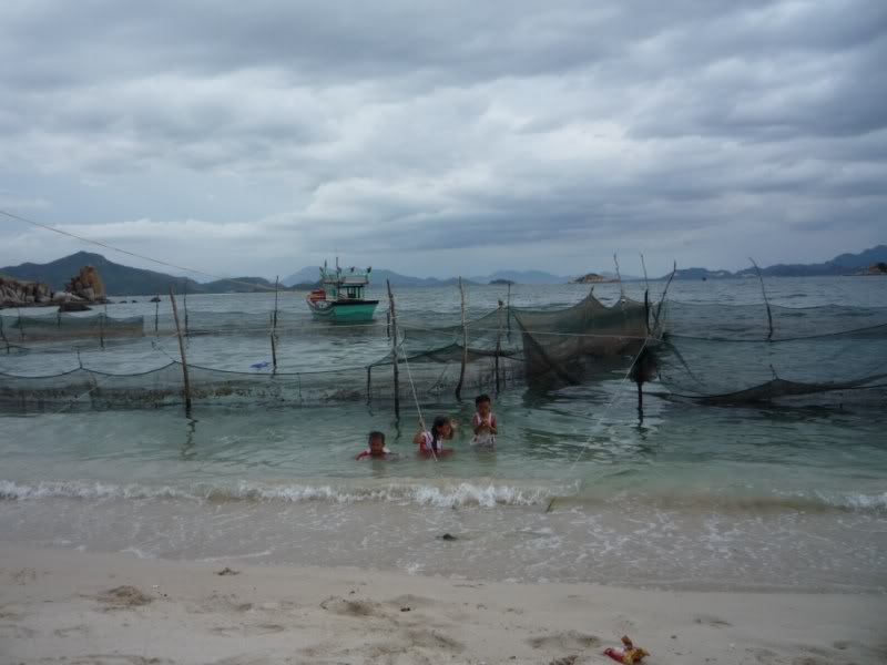 P1010589800x600.jpg