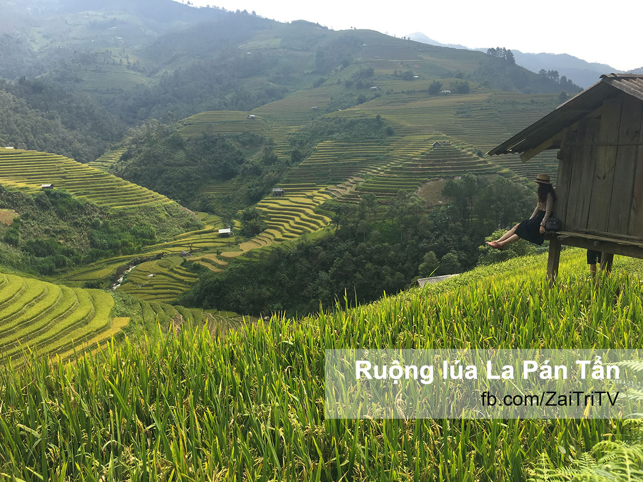 ruong-lua-LaPanTan-YenBai-IMG_6217.jpg