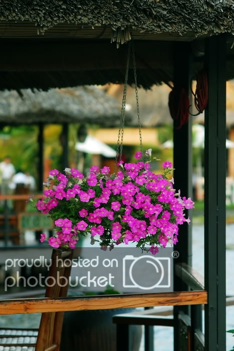 DSC_5517_resize.jpg