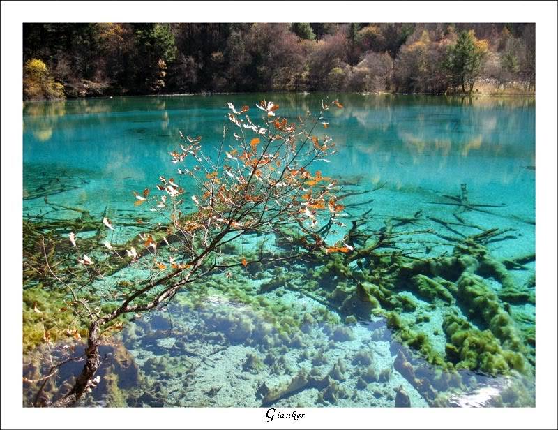R-FiveColorLake5.jpg
