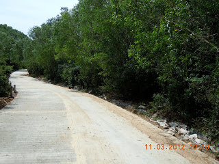 DSCN5319.JPG