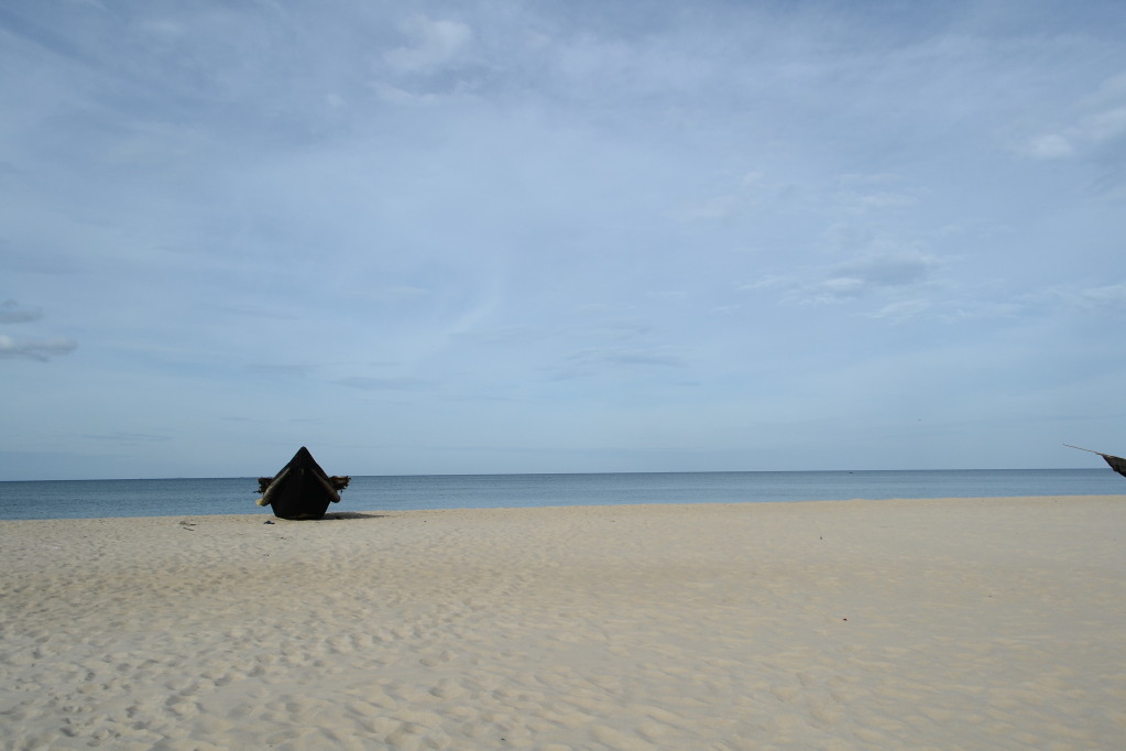DSC_8114.jpg