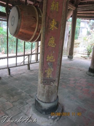 IMG_8212.jpg