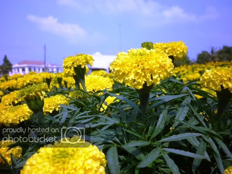 P1010496.jpg
