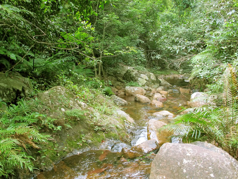 TayYenTu1010612.jpg