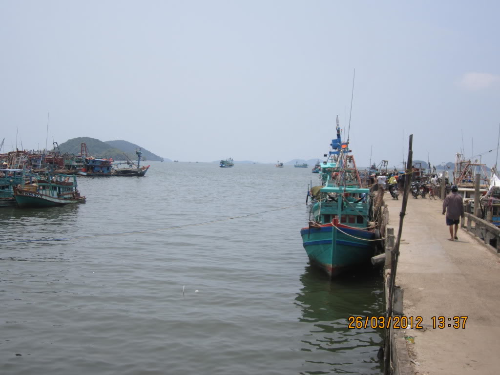 IMG_4168.jpg