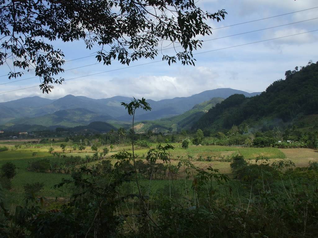 DSCF42261.jpg