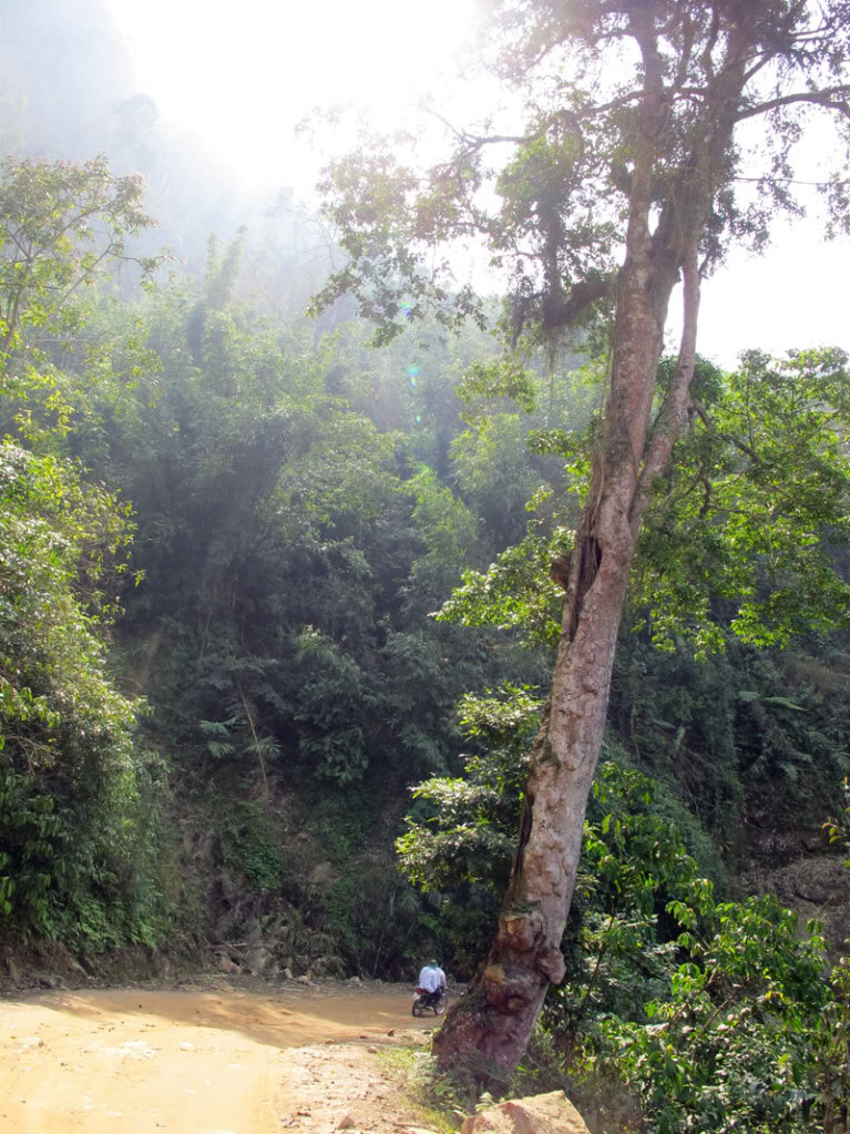 HongNgai2011202.jpg