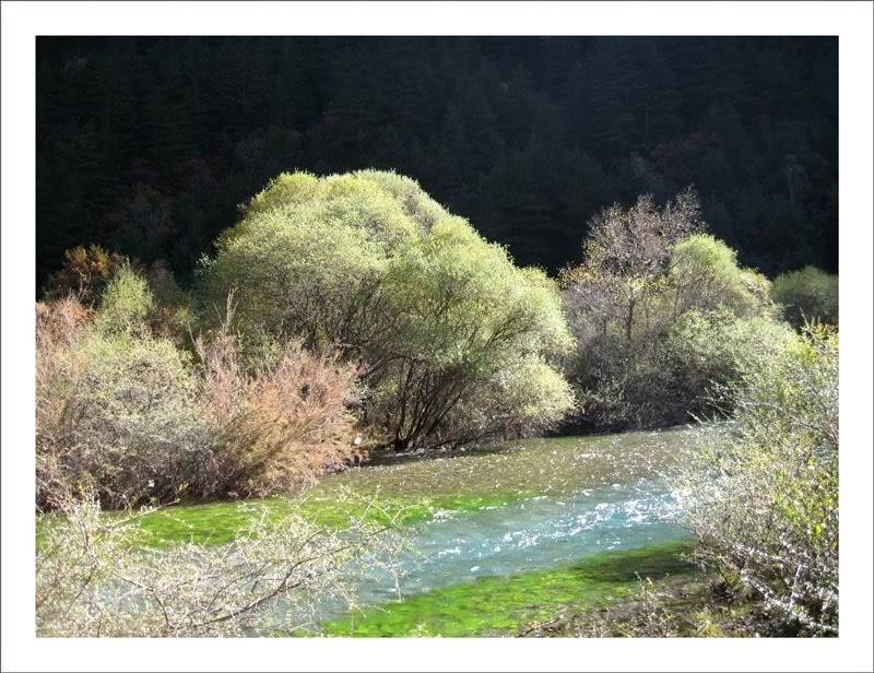 resizeRiver1.jpg