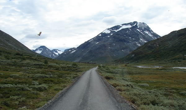 DSC09901.jpg