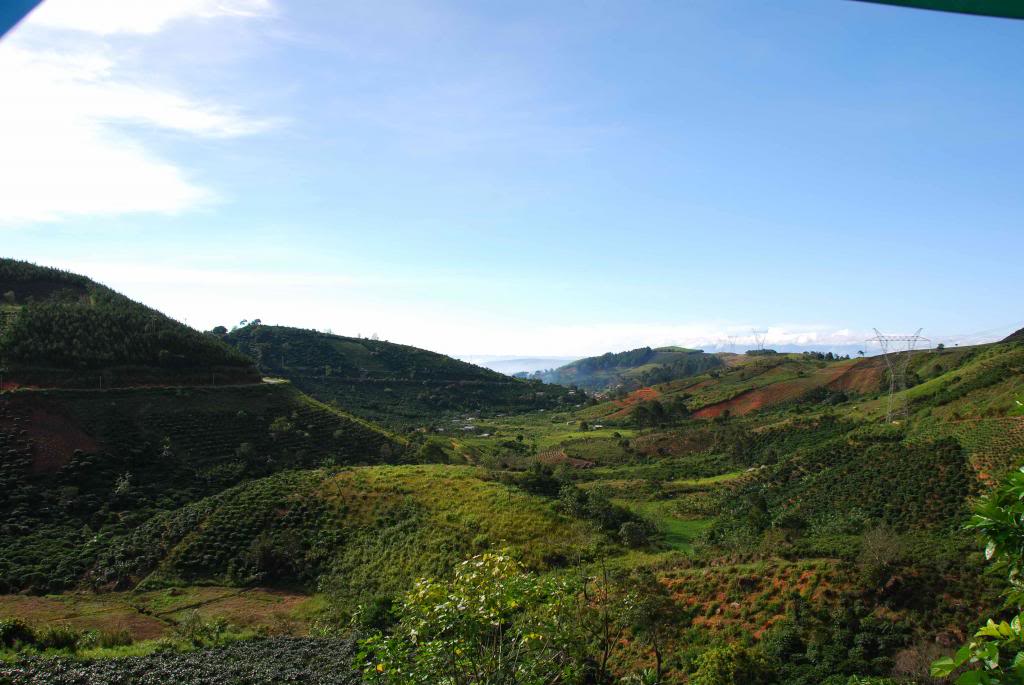 DSC_0688_zps5c8518e3.jpg