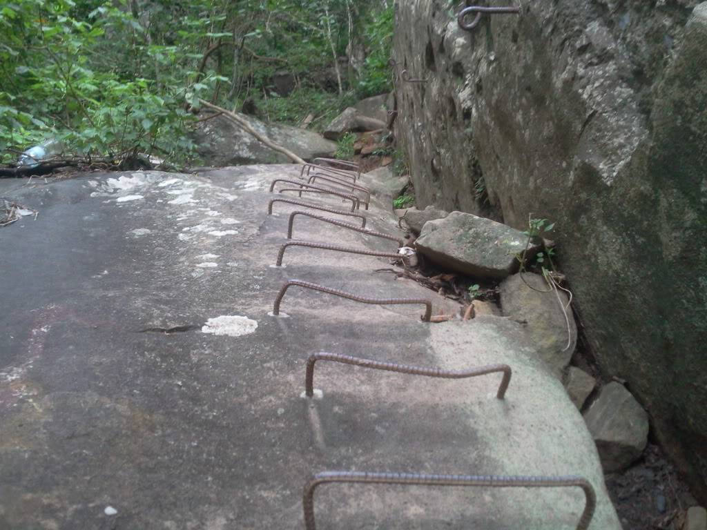 Photo0797.jpg