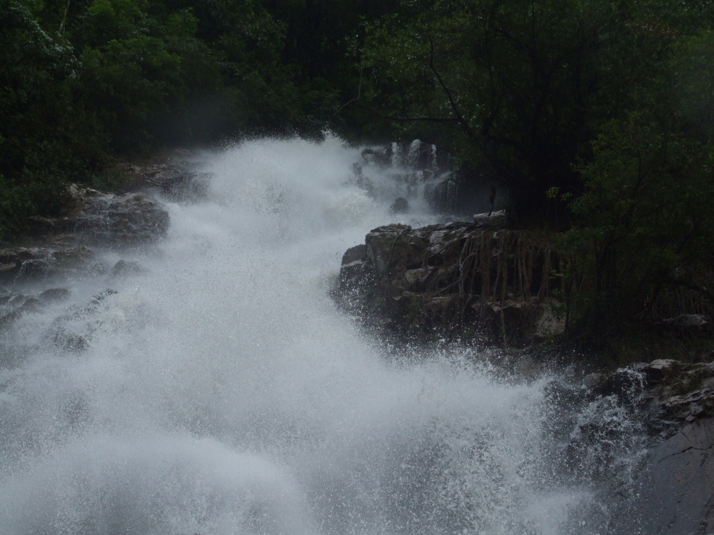 DSCF1695.jpg
