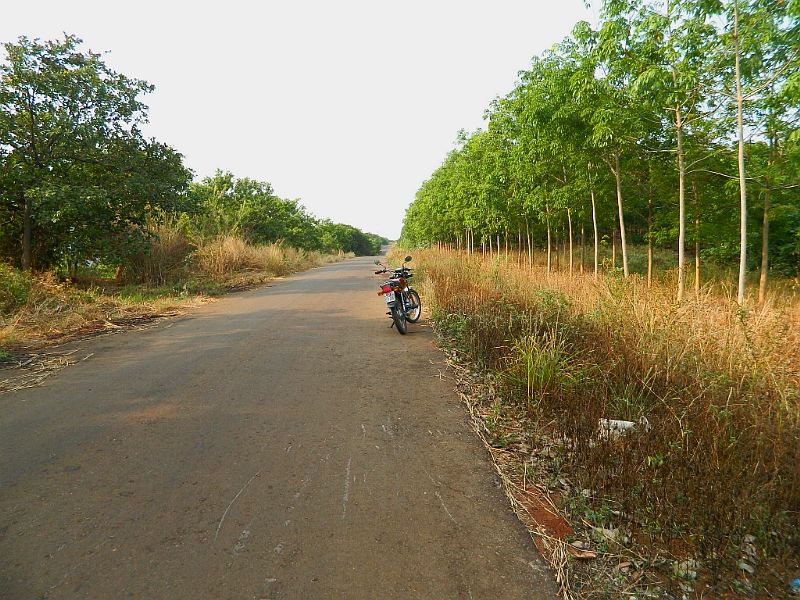 DSCN3623.jpg
