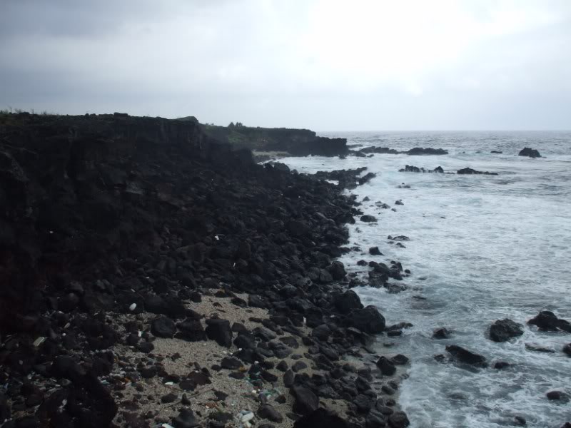 DSCF7031.jpg
