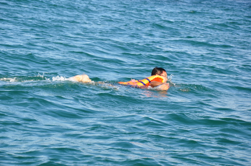 DSC_0275.jpg